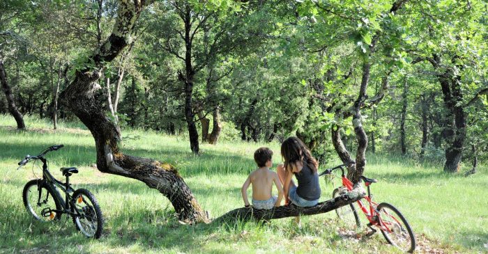 Camping Nature L&apos;ombrage
