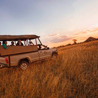 10/11-daagse autorondreis - inclusief vliegreis Ultimate Safari Experience (Speciaal Sefapane Arran